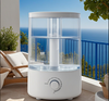 5L de agua de agua con dos puntos de venta de niebla, diseño de estilo INS en frío humidificante 