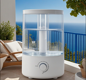 5L de agua de agua con dos puntos de venta de niebla, diseño de estilo INS en frío humidificante 