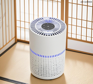 LED UVC - Purificador de aire SM6008 mejorado: 99% de bacteria/tasa de asesinato por virus